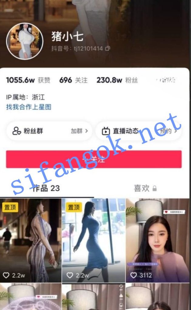 抖音 猪小七 200万粉 木瓜巨乳 超大尺度合集 超长时间【5V】【1.3G】