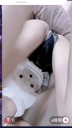 快手 金鱼大尺会议室+奶甜 路遥 羊咩咩 骚舞啪啪福利合集 图 17